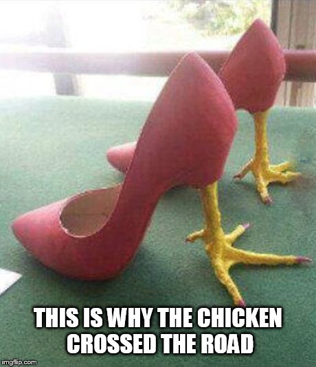 THIS IS WHY THE CHICKEN CROSSED THE ROAD | image tagged in memes,chicken,shoes | made w/ Imgflip meme maker