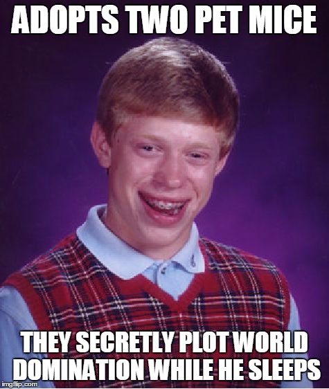 Bad Luck Brian Meme | ADOPTS TWO PET MICE THEY SECRETLY PLOT WORLD DOMINATION WHILE HE SLEEPS | image tagged in memes,bad luck brian | made w/ Imgflip meme maker