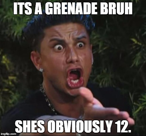 DJ Pauly D | ITS A GRENADE BRUH SHES OBVIOUSLY 12. | image tagged in memes,dj pauly d | made w/ Imgflip meme maker