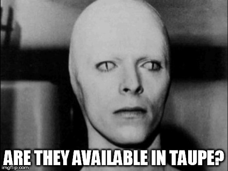 ARE THEY AVAILABLE IN TAUPE? | image tagged in david bowie | made w/ Imgflip meme maker