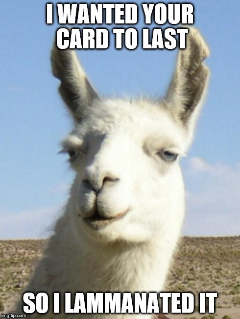 llama | I WANTED YOUR CARD TO LAST SO I LAMMANATED IT | image tagged in llama,puns | made w/ Imgflip meme maker