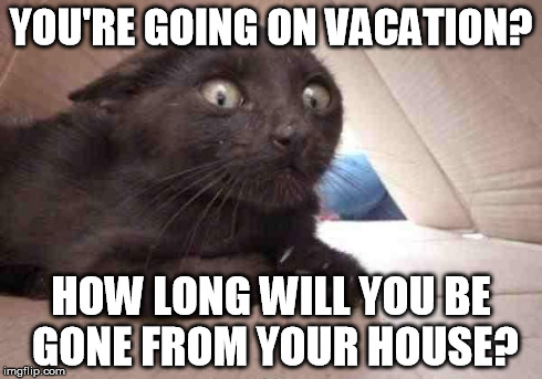 Psycho Cat | YOU'RE GOING ON VACATION? HOW LONG WILL YOU BE GONE FROM YOUR HOUSE? | image tagged in schizo cat,cats,memes | made w/ Imgflip meme maker