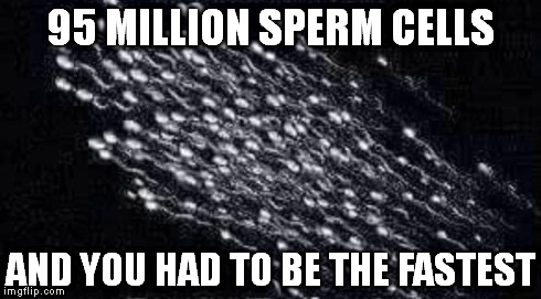 sperm | 95 MILLION SPERM CELLS AND YOU HAD TO BE THE FASTEST | image tagged in sperm | made w/ Imgflip meme maker
