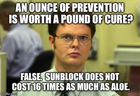 Dwight Schrute Meme | AN OUNCE OF PREVENTION IS WORTH A POUND OF CURE? FALSE.  SUNBLOCK DOES NOT COST 16 TIMES AS MUCH AS ALOE. | image tagged in memes,dwight schrute | made w/ Imgflip meme maker