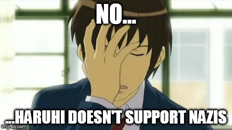 Kyon Facepalm Ver 2 | NO... ...HARUHI DOESN'T SUPPORT NAZIS | image tagged in kyon facepalm ver 2 | made w/ Imgflip meme maker