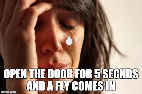 First World Problems | OPEN THE DOOR FOR 5 SECNDS AND A FLY COMES IN | image tagged in memes,first world problems | made w/ Imgflip meme maker