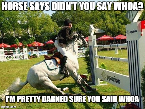 HORSE SAYS DIDN'T YOU SAY WHOA? I'M PRETTY DARNED SURE YOU SAID WHOA | image tagged in balk at the fence | made w/ Imgflip meme maker