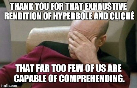 Captain Picard Facepalm Meme | THANK YOU FOR THAT EXHAUSTIVE RENDITION OF HYPERBOLE AND CLICHÉ THAT FAR TOO FEW OF US ARE CAPABLE OF COMPREHENDING. | image tagged in memes,captain picard facepalm | made w/ Imgflip meme maker