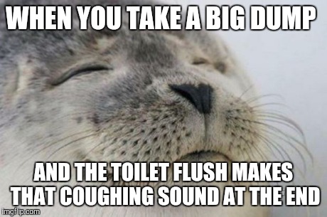 Happy Seal | WHEN YOU TAKE A BIG DUMP AND THE TOILET FLUSH MAKES THAT COUGHING SOUND AT THE END | image tagged in happy seal | made w/ Imgflip meme maker