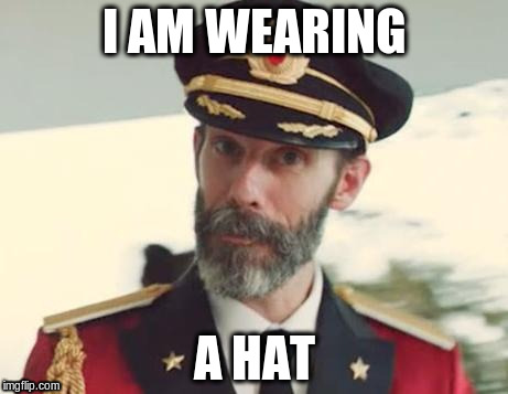 Wardrobe analysis complete | I AM WEARING A HAT | image tagged in captain obvious,memes | made w/ Imgflip meme maker