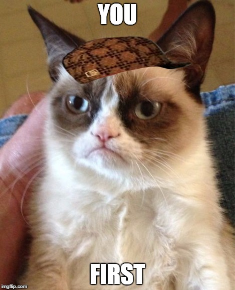 Grumpy Cat Meme | YOU FIRST | image tagged in memes,grumpy cat,scumbag | made w/ Imgflip meme maker