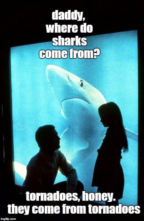 That Special Father-Daughter Moment | daddy, where do sharks come from? tornadoes, honey.   they come from tornadoes | image tagged in sharks | made w/ Imgflip meme maker