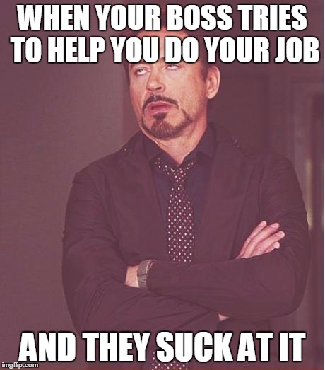 How about you just go back to "supervising," I do this by myself all the time. | WHEN YOUR BOSS TRIES TO HELP YOU DO YOUR JOB AND THEY SUCK AT IT | image tagged in memes,face you make robert downey jr | made w/ Imgflip meme maker