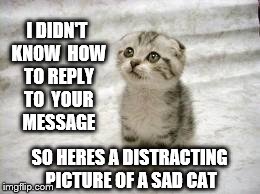 Sad Cat | I DIDN'T KNOW 
HOW TO REPLY TO 
YOUR MESSAGE SO HERES A DISTRACTING PICTURE OF A SAD CAT | image tagged in memes,sad cat | made w/ Imgflip meme maker