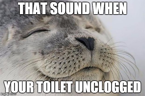 Satisfied Seal | THAT SOUND WHEN YOUR TOILET UNCLOGGED | image tagged in memes,satisfied seal,AdviceAnimals | made w/ Imgflip meme maker