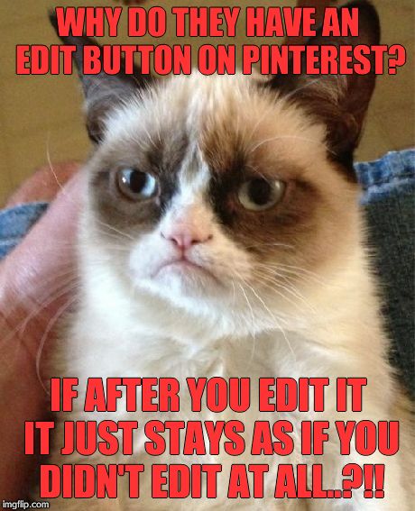 Grumpy Cat | WHY DO THEY HAVE AN EDIT BUTTON ON PINTEREST? IF AFTER YOU EDIT IT IT JUST STAYS AS IF YOU DIDN'T EDIT AT ALL..?!! | image tagged in memes,grumpy cat | made w/ Imgflip meme maker