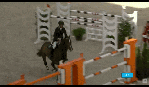 denis | image tagged in gifs | made w/ Imgflip video-to-gif maker