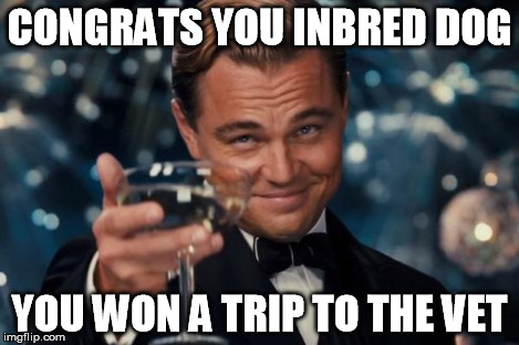 Leonardo Dicaprio Cheers Meme | CONGRATS YOU INBRED DOG YOU WON A TRIP TO THE VET | image tagged in memes,leonardo dicaprio cheers | made w/ Imgflip meme maker