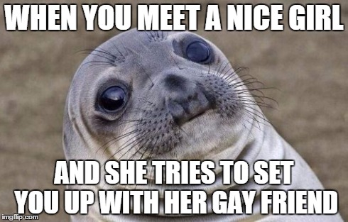 maybe i should stop going out to parties | WHEN YOU MEET A NICE GIRL AND SHE TRIES TO SET YOU UP WITH HER GAY FRIEND | image tagged in memes,awkward moment sealion | made w/ Imgflip meme maker