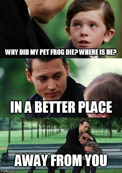 Finding Neverland | WHY DID MY PET FROG DIE? WHERE IS HE? IN A BETTER PLACE AWAY FROM YOU | image tagged in memes,finding neverland | made w/ Imgflip meme maker