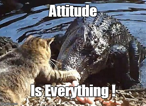 Attitude Is Everything ! | image tagged in attitude is everything | made w/ Imgflip meme maker