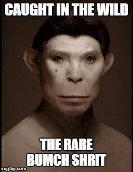 manimal | CAUGHT IN THE WILD THE RARE BUMCH SHRIT | image tagged in manimal | made w/ Imgflip meme maker