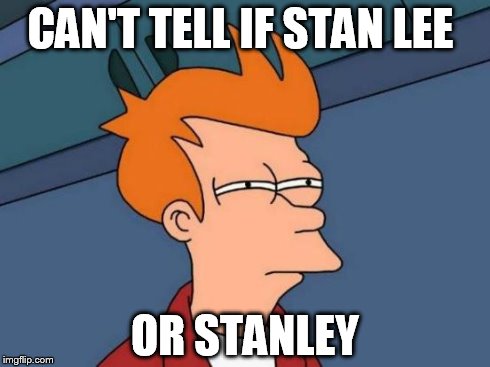 Futurama Fry | CAN'T TELL IF STAN LEE OR STANLEY | image tagged in memes,futurama fry | made w/ Imgflip meme maker