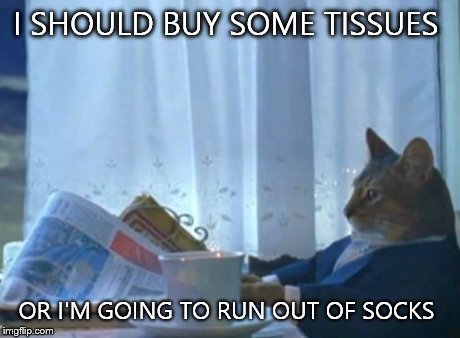 I Should Buy A Boat Cat | I SHOULD BUY SOME TISSUES OR I'M GOING TO RUN OUT OF SOCKS | image tagged in memes,i should buy a boat cat | made w/ Imgflip meme maker