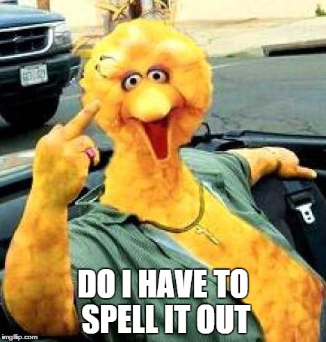 Big Bird | DO I HAVE TO SPELL IT OUT | image tagged in big bird | made w/ Imgflip meme maker