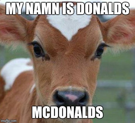 MY NAMN IS DONALDS MCDONALDS | image tagged in veal | made w/ Imgflip meme maker