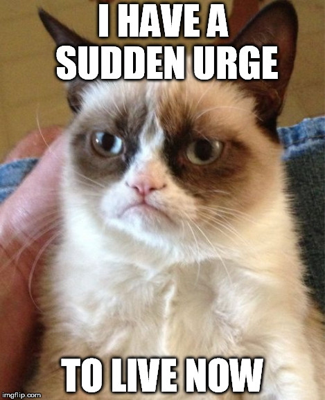 Grumpy Cat Meme | I HAVE A SUDDEN URGE TO LIVE NOW | image tagged in memes,grumpy cat | made w/ Imgflip meme maker
