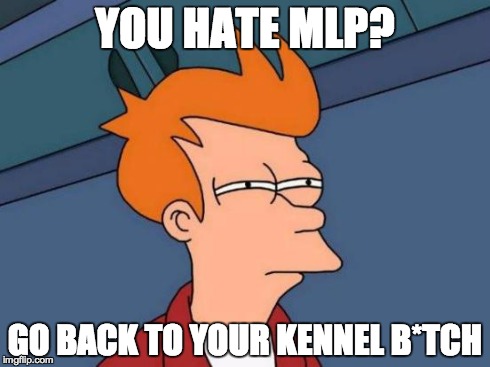 Futurama Fry | YOU HATE MLP? GO BACK TO YOUR KENNEL B*TCH | image tagged in memes,futurama fry | made w/ Imgflip meme maker