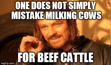 One Does Not Simply Meme | ONE DOES NOT SIMPLY MISTAKE MILKING COWS FOR BEEF CATTLE | image tagged in memes,one does not simply | made w/ Imgflip meme maker