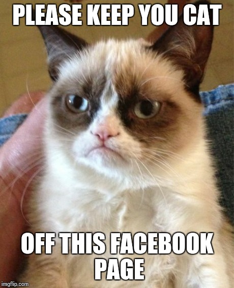 Grumpy Cat Meme | PLEASE KEEP YOU CAT OFF THIS FACEBOOK PAGE | image tagged in memes,grumpy cat | made w/ Imgflip meme maker