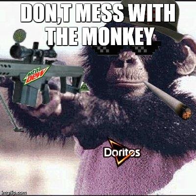 mlg monkey | DON,T MESS WITH THE MONKEY | image tagged in mlg monkey | made w/ Imgflip meme maker