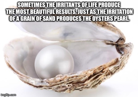SOMETIMES THE IRRITANTS OF LIFE PRODUCE THE MOST BEAUTIFUL RESULTS, JUST AS THE IRRITATION OF A GRAIN OF SAND PRODUCES THE OYSTERS PEARL. | image tagged in pearl | made w/ Imgflip meme maker
