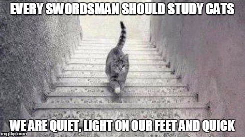 Escher Cat | EVERY SWORDSMAN SHOULD STUDY CATS WE ARE QUIET, LIGHT ON OUR FEET AND QUICK | image tagged in escher cat | made w/ Imgflip meme maker