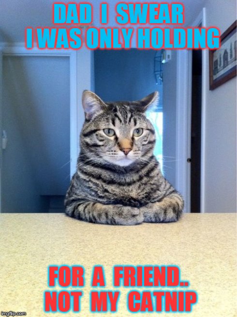 Take A Seat Cat | DAD  I  SWEAR  I WAS ONLY HOLDING FOR  A  FRIEND.. NOT  MY  CATNIP | image tagged in memes,take a seat cat | made w/ Imgflip meme maker