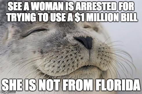 Satisfied Seal Meme | SEE A WOMAN IS ARRESTED FOR TRYING TO USE A $1 MILLION BILL SHE IS NOT FROM FLORIDA | image tagged in memes,satisfied seal,AdviceAnimals | made w/ Imgflip meme maker