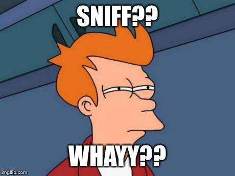 Futurama Fry Meme | SNIFF?? WHAYY?? | image tagged in memes,futurama fry | made w/ Imgflip meme maker