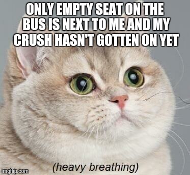 Heavy Breathing Cat | ONLY EMPTY SEAT ON THE BUS IS NEXT TO ME AND MY CRUSH HASN'T GOTTEN ON YET | image tagged in memes,heavy breathing cat | made w/ Imgflip meme maker