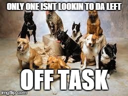 ONLY ONE ISNT LOOKIN TO DA LEFT OFF TASK | image tagged in pac | made w/ Imgflip meme maker