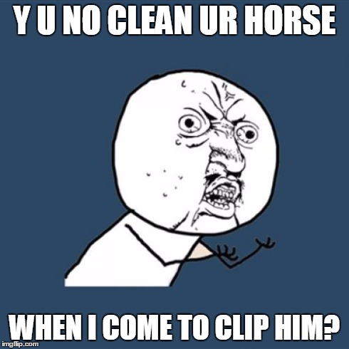 Y U No | Y U NO CLEAN UR HORSE WHEN I COME TO CLIP HIM? | image tagged in memes,y u no | made w/ Imgflip meme maker