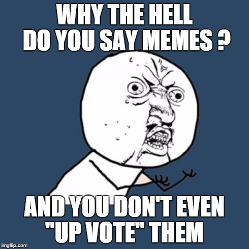 when you save the meme and dont like it  | WHY THE HELL DO YOU SAY MEMES ? AND YOU DON'T EVEN "UP VOTE" THEM | image tagged in memes,y u no | made w/ Imgflip meme maker