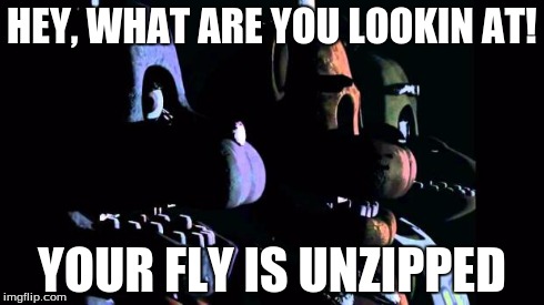 HEY, WHAT ARE YOU LOOKIN AT! YOUR FLY IS UNZIPPED | image tagged in fnaf 3 | made w/ Imgflip meme maker