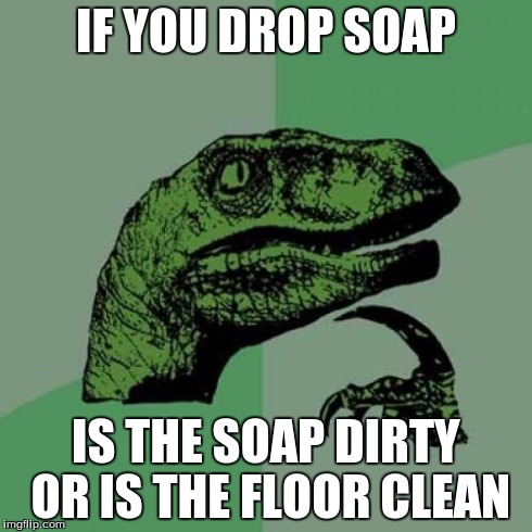 Philosoraptor | IF YOU DROP SOAP IS THE SOAP DIRTY OR IS THE FLOOR CLEAN | image tagged in memes,philosoraptor | made w/ Imgflip meme maker