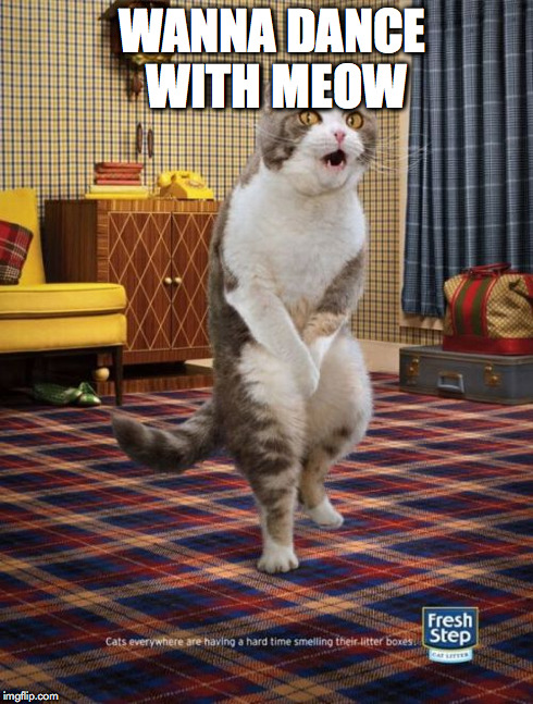 Gotta Go Cat | WANNA DANCE WITH MEOW | image tagged in memes,gotta go cat,scumbag | made w/ Imgflip meme maker