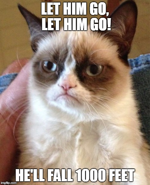 Grumpy Cat | LET HIM GO, LET HIM GO! HE'LL FALL 1000 FEET | image tagged in memes,grumpy cat | made w/ Imgflip meme maker