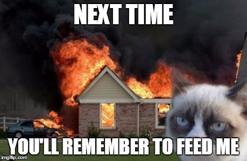 Don't forget to feed Grumpy Cat! | NEXT TIME YOU'LL REMEMBER TO FEED ME | image tagged in memes,burn kitty | made w/ Imgflip meme maker