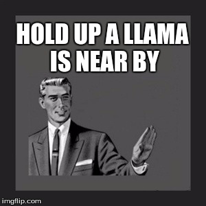 Kill Yourself Guy | HOLD UP A LLAMA IS NEAR BY | image tagged in memes,kill yourself guy | made w/ Imgflip meme maker